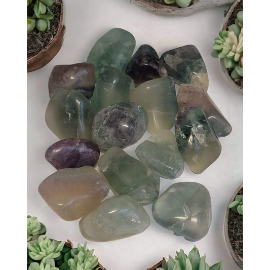 Green Fluorite Tumbled Stones crystals Alice Jewel   
